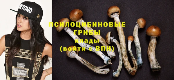 трава Балахна